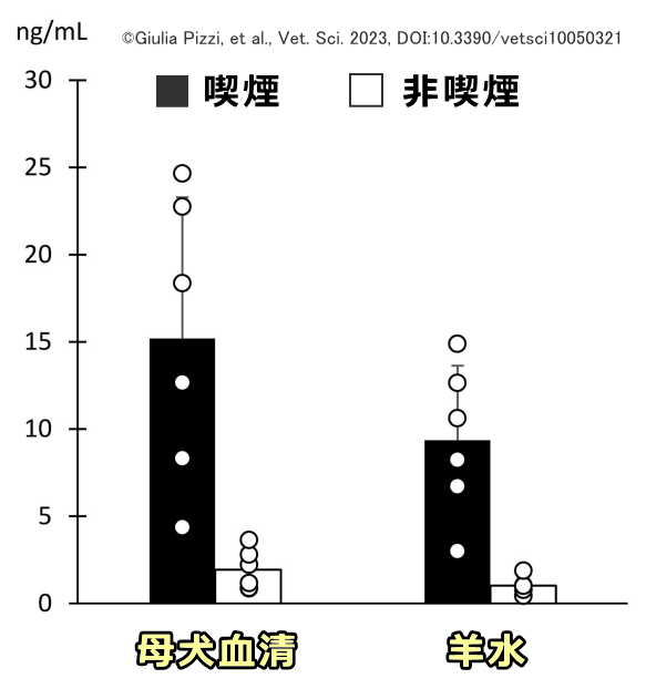 母犬と新生子の血清（羊水）におけるコチニン濃度比較グラフ