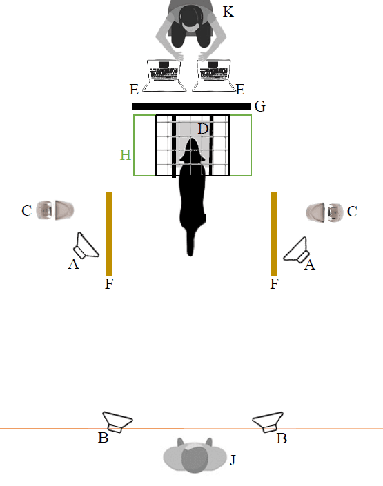 犬の音源定位テスト・セッティング模式図