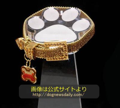 「ゴールデンカラー賞」(Golden Collar Awards)