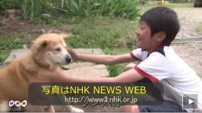茨城県つくば市で行方不明になっていたワン太郎