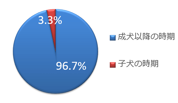 子犬が可愛い容姿をキープしているのは、せいぜい生後6ヶ月まで