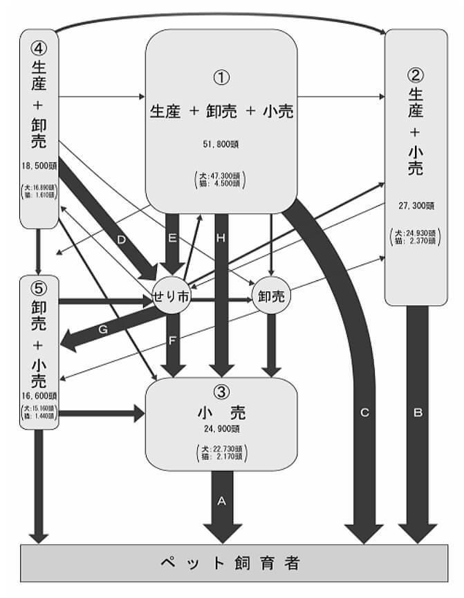 犬・猫の主な流通経路