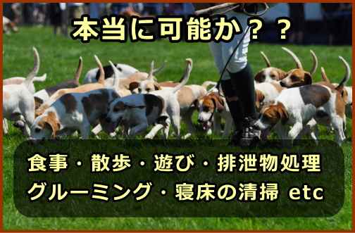 散歩・グルーミング・遊び・排泄物の除去・寝床の清掃など、犬のニーズを少人数スタッフでこなすことは容易ではないはず。