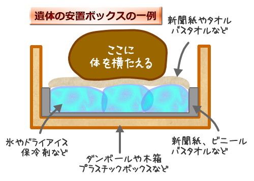 犬の遺体を一時的に収容する安置ボックスは、可燃性のダンボールがベストです。