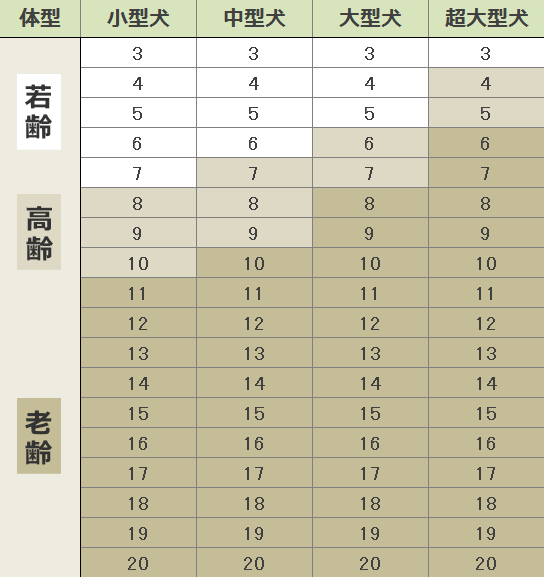 年齢表 トイプードル 【早見表付き】犬の年齢って人間でいうと何歳？トイプードルが老いてきた。