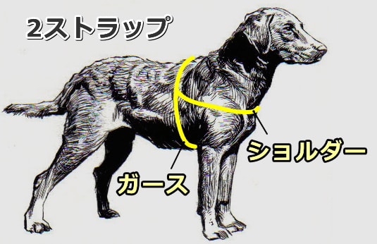 犬用ハーネス～2ストラップ型