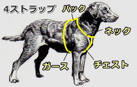 犬用ハーネス～4ストラップ型