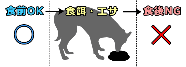 犬の散歩をするタイミングは食前が基本