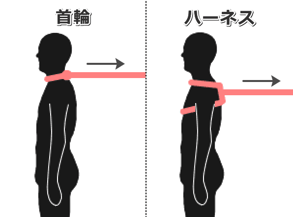 犬の首元に対する負担はハーネスよりも首輪のほうが大きい