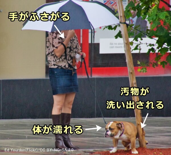 雨の日の犬の散歩には様々なデメリットと危険が伴う