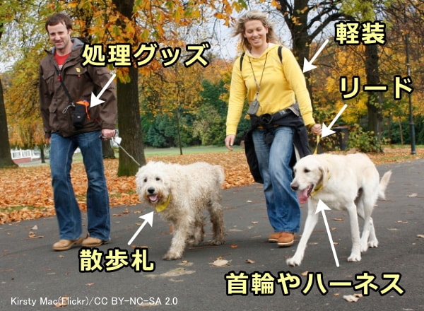 犬を散歩するときに必要となる用具一覧