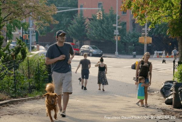 首輪もリードもない散歩が犬にとっても人にとっても理想