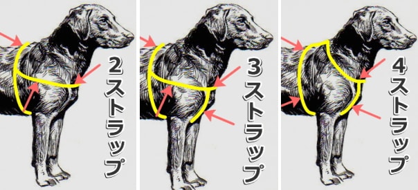 ハーネスを装着するときは指2本が楽に入るくらいの余裕を持たせて