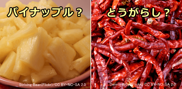 明確な根拠もないまま使用されている民間の食糞防止食品~パイナップルと唐辛子