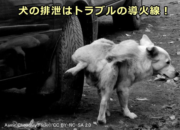 犬の排泄物を屋外に放置するという行為はトラブルのもとになりやすい