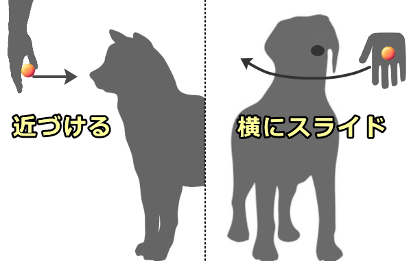 止まっている手は大丈夫でも動いている手を怖がる犬がいる