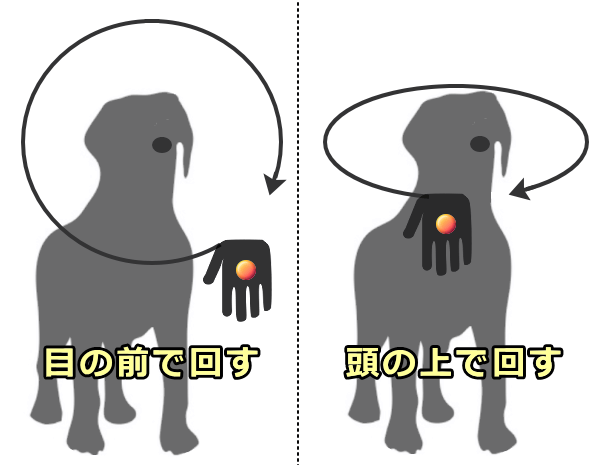 あらゆる手の動きにならせておかないと咬傷事故が起こる危険性がある