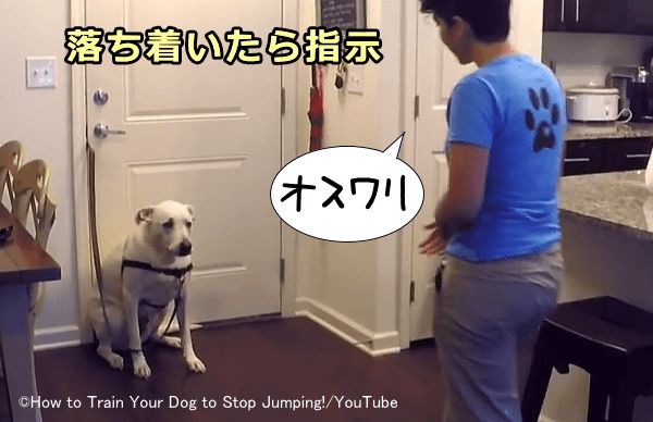 犬が騒いでいるうちは一切のごほうびを遮断する