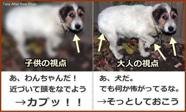 大人と子供の視点には違いがあり、これが「怖がっている犬」に対する認識の差を生み出している