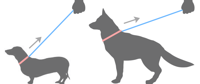 体高が低い小型犬がリードを引っ張ると、首に対して強い圧力が加わる