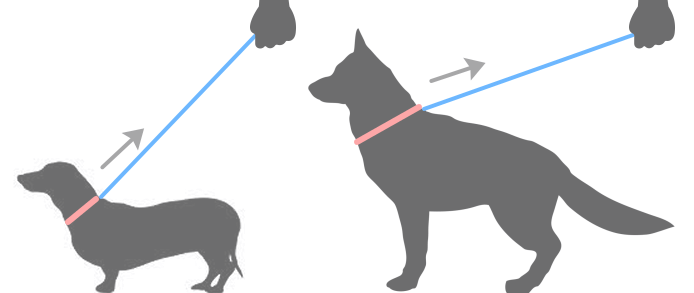 犬のリーダーウォークのしつけ リードを引っ張る 歩かないなど散歩時の問題行動をなおす方法 子犬のへや