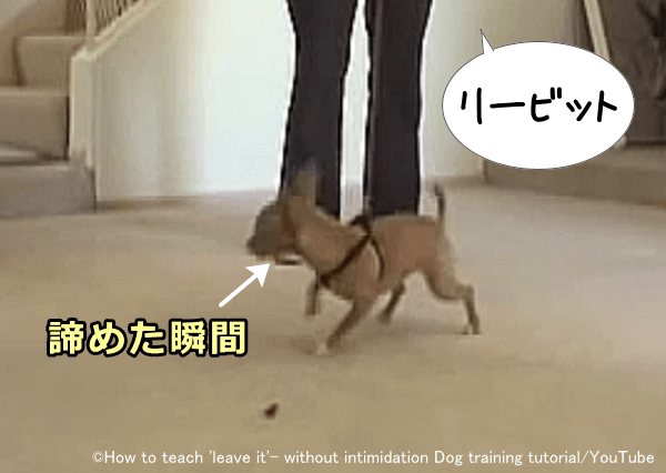 犬が床に落ちているものから注意を逸した瞬間「リービット」などの指示語を発する
