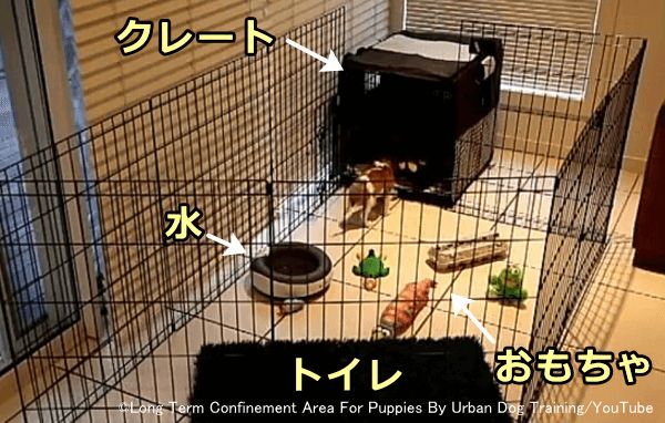 犬の留守番のしつけ 分離不安を軽減してケージやサークル内におけるストレスを最小限に抑える方法 子犬のへや