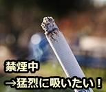 今まで満たされていた欲求が不満になると、一時的に禁断症状が出る～消去バースト