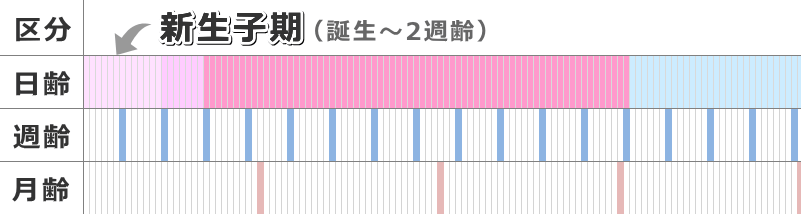 生まれてから14日齢になるまでが新生子期