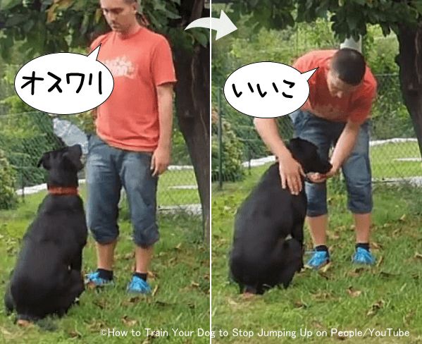 物理的に飛びつけないよう犬にお座りを命じる