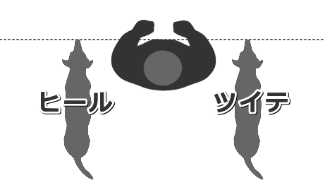 「ヒール」や「ツイテ」では、犬の鼻先が飼い主の身体よりも前に出てはいけない