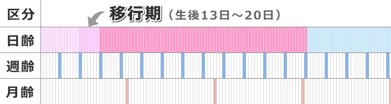 生後13日から20日ごろまでが移行期