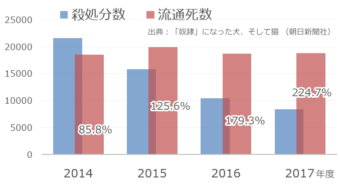 繁殖から小売までの間に死ぬ犬の流通死数・年次統計