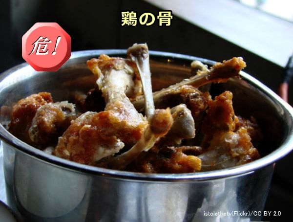 犬が食べると危険な中毒食品・食材～のどに詰まるもの