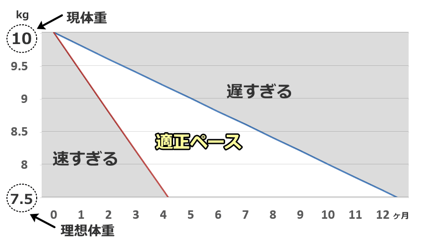 ダイエットの適正なペース