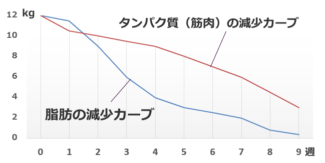 絶食状態の犬における体タンパク質と脂肪の減少カーブ