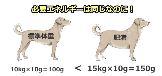 必要エネルギーは同じなのに給餌量に格差が生まれてしまう現象