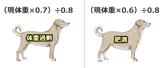 体重過剰や肥満状態の犬における理想体重の求め方