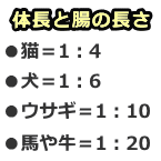 様々な動物における体調と腸の長さの比率