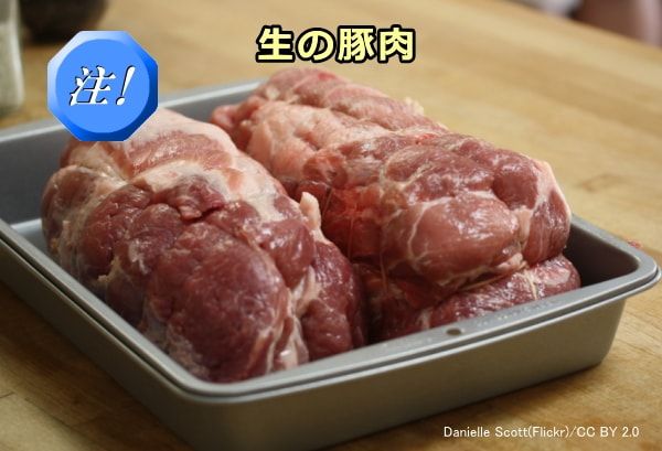 犬が食べると危険な中毒食品・食材～生の豚肉