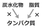 脂質や炭水化物からタンパク質は生成されない