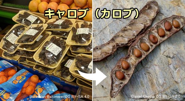 イナゴ豆の果実を乾燥させたキャロブ（カロブ）