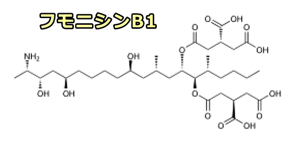 フモニシンB1の分子構造