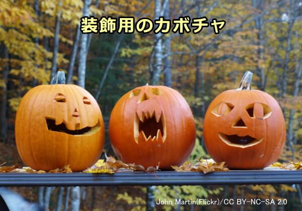 ハロウィンに用いられる装飾用のカボチャにはククルビタシンという神経毒が含まれている