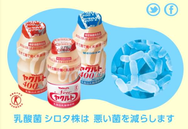 ヤクルトやヨーグルトに使用されている乳酸菌の一種「シロタ株」