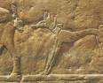 古代エジプトの壁画に描かれたバセンジー