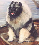 オランダで運河に停泊する船の番犬として用いられた「はしけ犬」