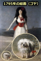 1795年のゴヤの絵画「The Duchess of Alba」