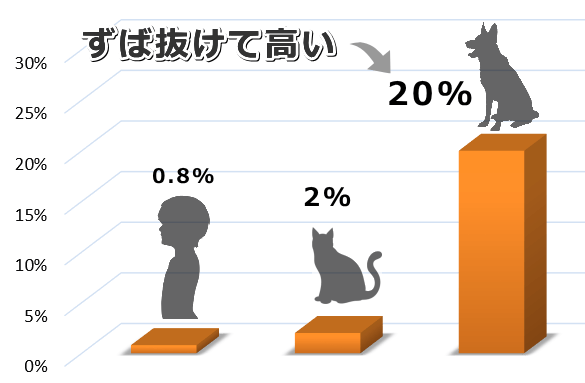 解剖学的な要因により、犬では外耳炎が非常に発生しやすい