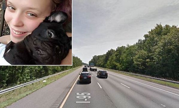 道路に飛び出した犬を助け出そうとして飼い主も車に轢かれる事故